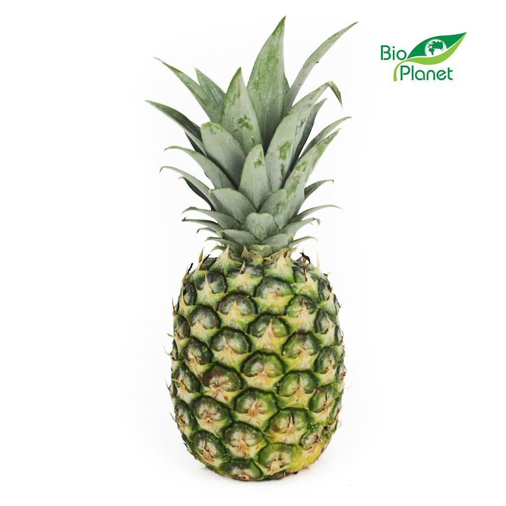Ananas Świeży BIO (Około 1,10 kg)