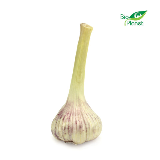 Czosnek Świeży BIO (Polska) (Około 40 g)